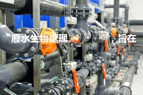 “廢水生物處理，旨在凈化水源，守護碧水藍天”